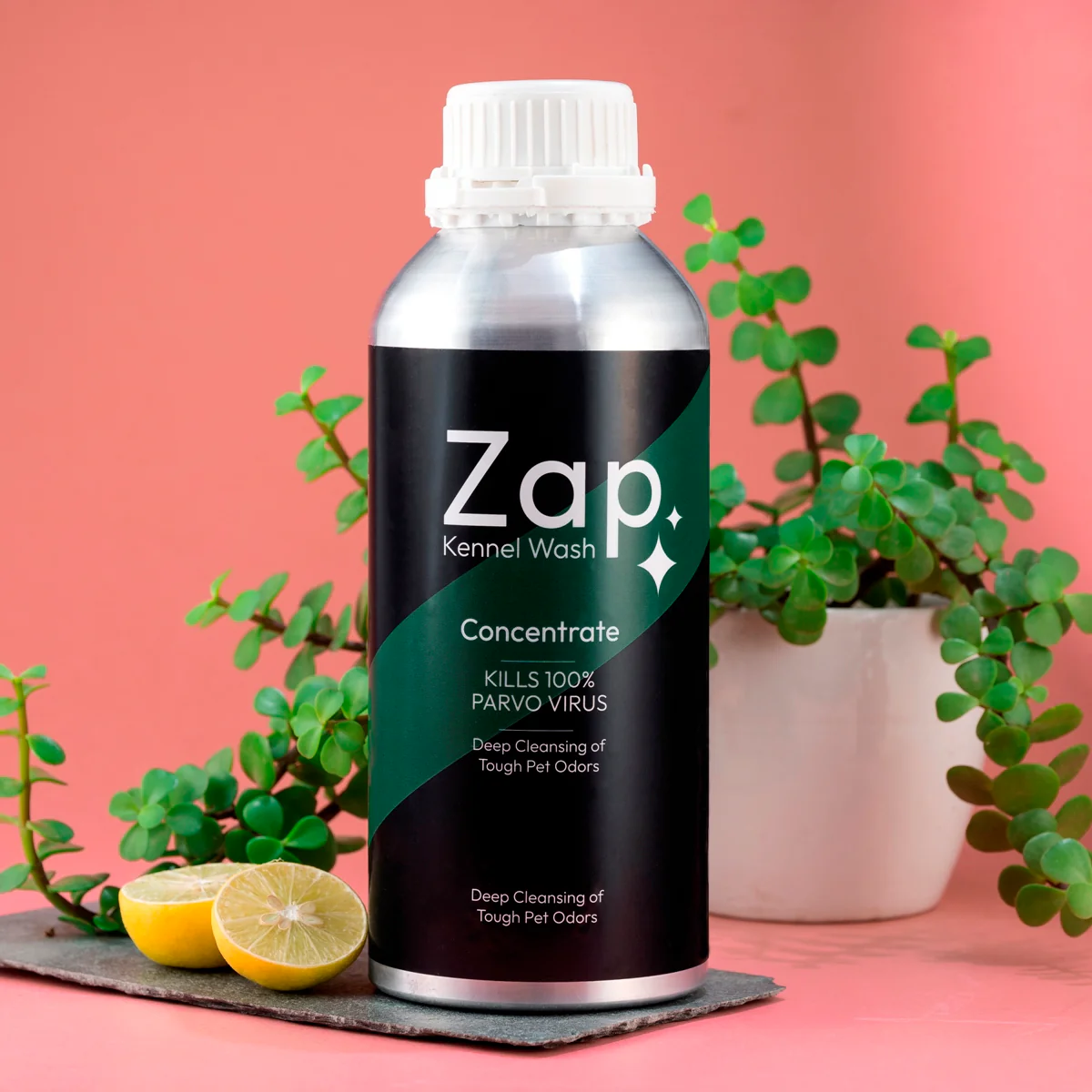 Zap kennel wash the ultimate floor cleaning solution