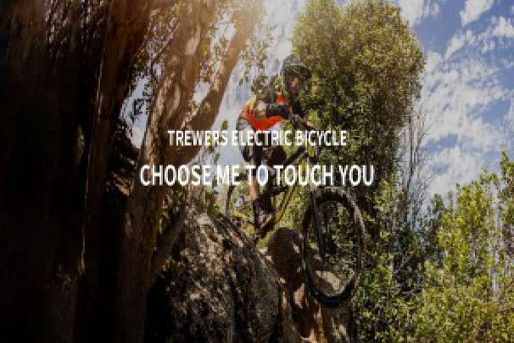 Zhejiang trewers electric bicycle manufacturing company
