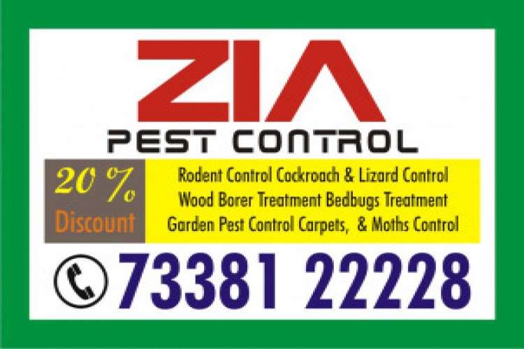 Zia Pest Control Cockroach Service Price Just