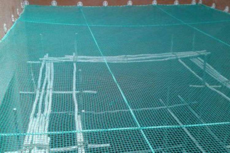 Anti bird net for balcony in bangalore