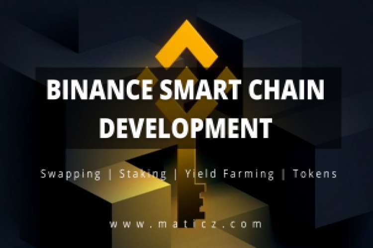 Binance Smart Chain Development Maticz 4597022