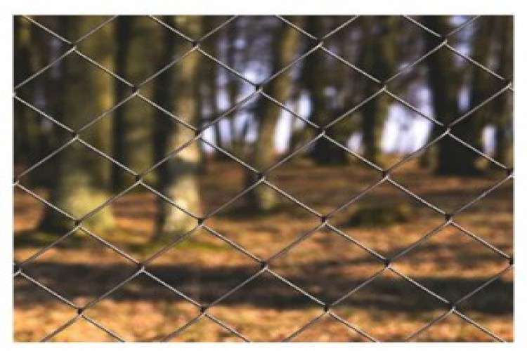 Do you want the best kind of fencing net products