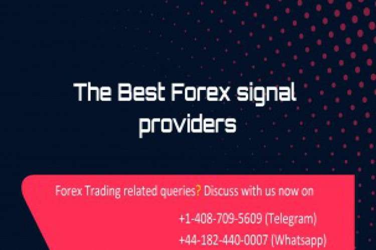 Forex signals provider