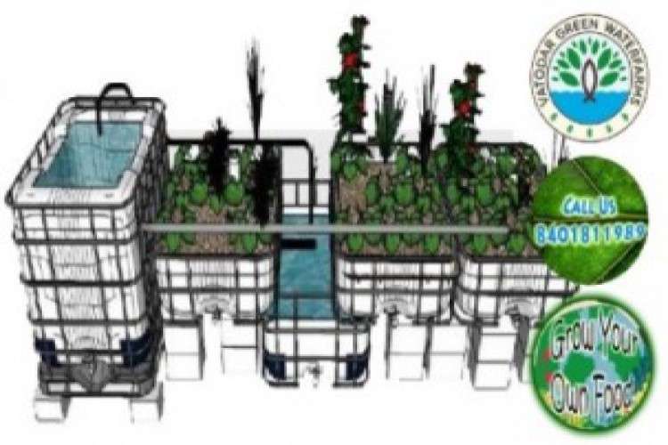 Hydroponics and aquaponics system to grow your own food