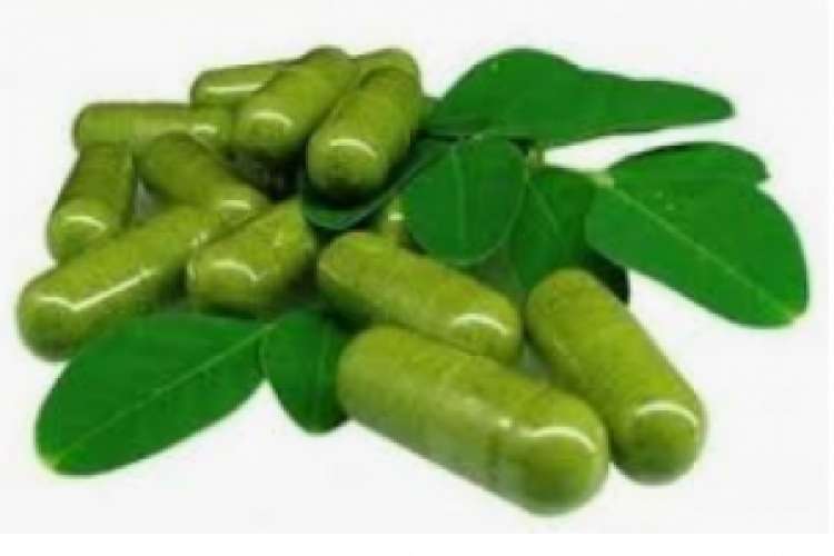 moringa-organic-capsule-and-powder-in-india-for-home-delivery_2620683.jpg