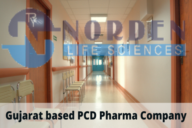Pcd pharma company in gujarat