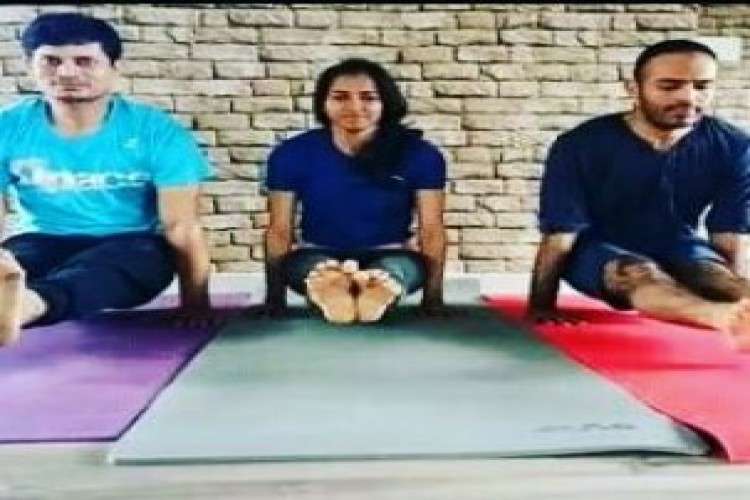 Regular yoga classes and group yoga classes in hyderabad   pancha yoga