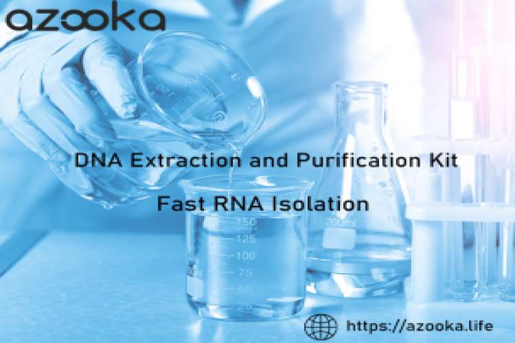 Safe and fast rna extraction kit for total rna extraction