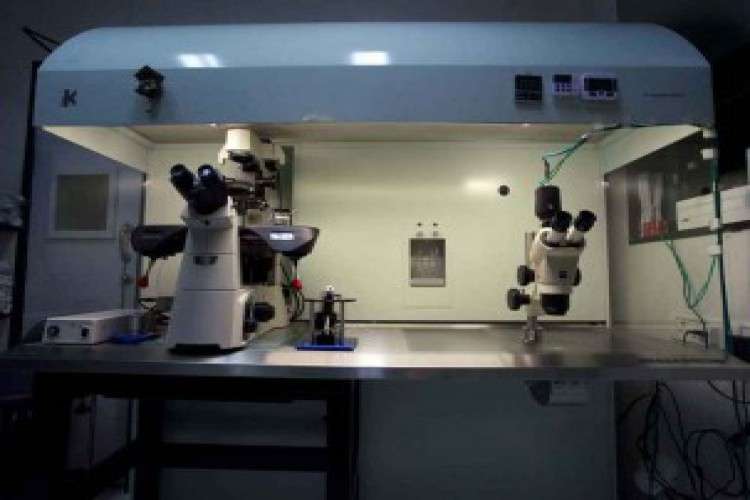 Top ivf clinic in india